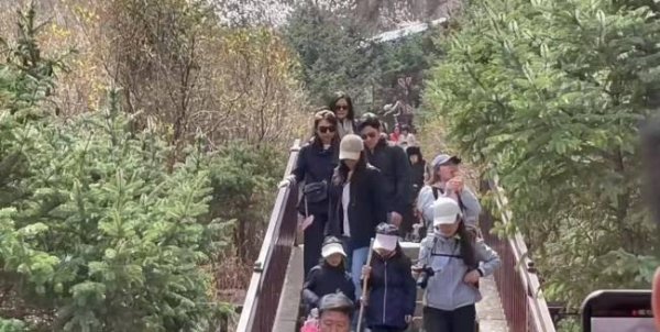 嘉多网 郭晶晶一家登山 儿子背影像极霍启刚 温馨家庭出游羡煞旁人