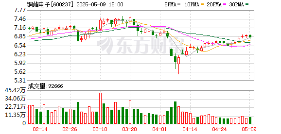 漢崋资本 铜峰电子：2024年年度股东会决议公告