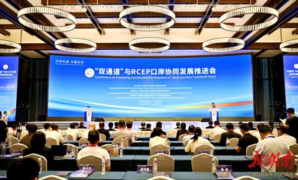 鼎红金投 专家支招怀化“国际会客厅”打造——“双通道”与RCEP口岸协同发展推进会召开